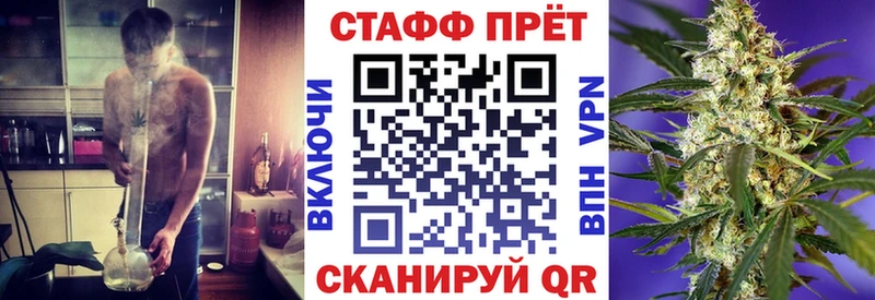 Купить наркотики Новозыбков MEGA tor  Галлюциногенные грибы  A PVP  Меф  КОКАИН  Каннабис  Гашиш 