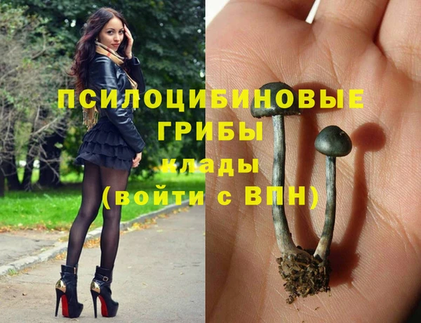 кокс Армянск