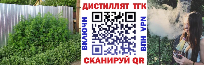ТГК вейп  Новозыбков 