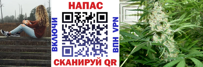 площадка наркотические препараты  где продают наркотики  Новозыбков  Конопля AK-47 